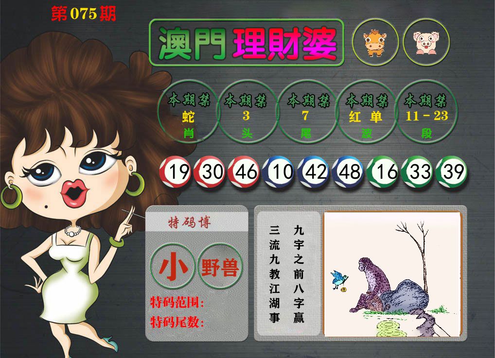 理财婆 第75期