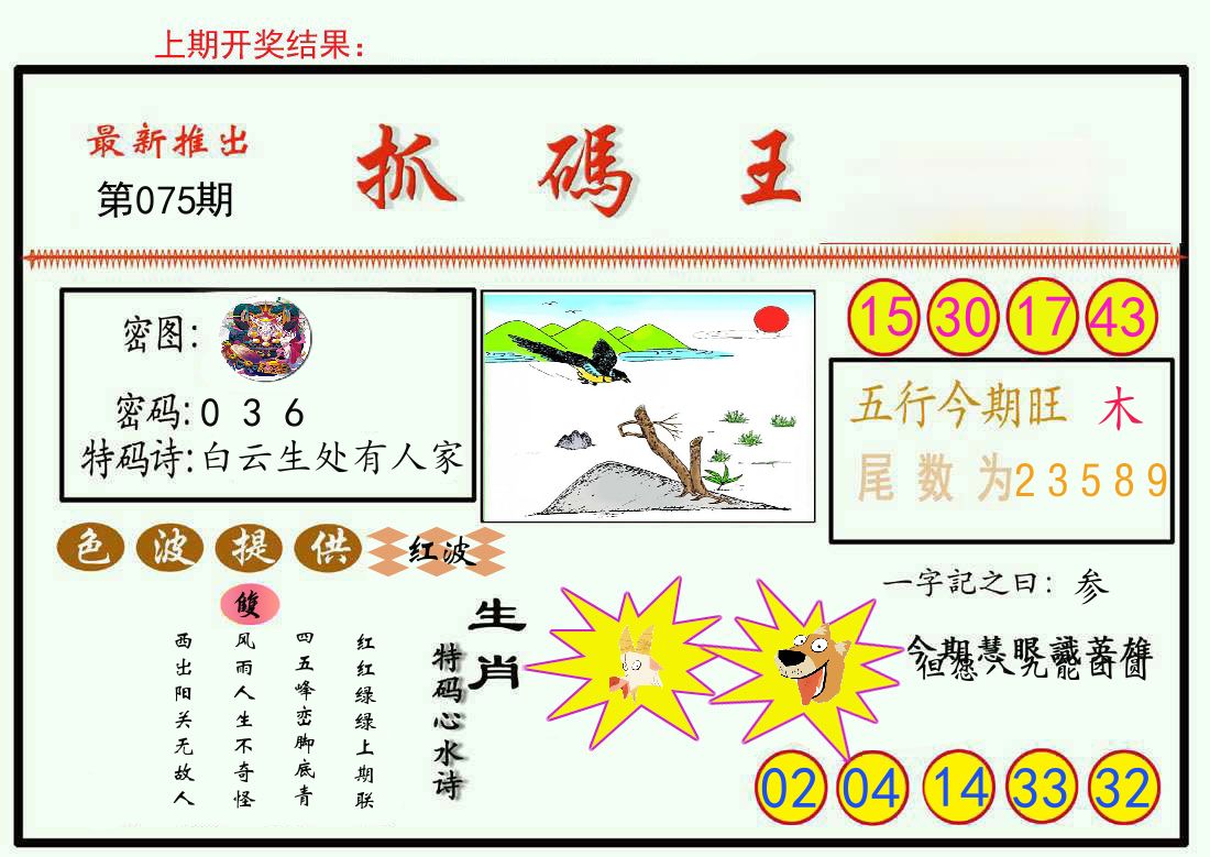 最新抓码王 第75期