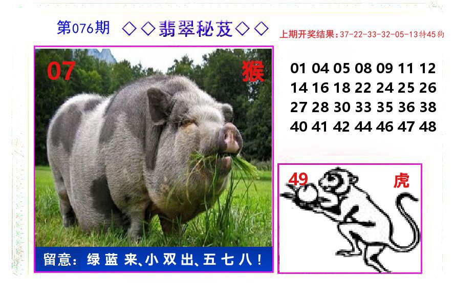 翡翠秘芨 第76期