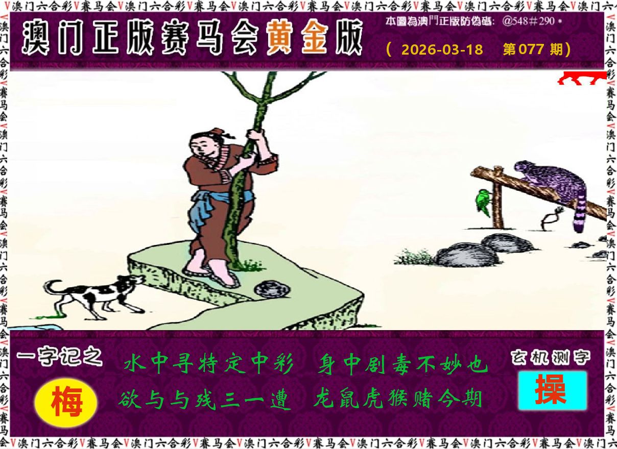 赛马会黄金版 第77期