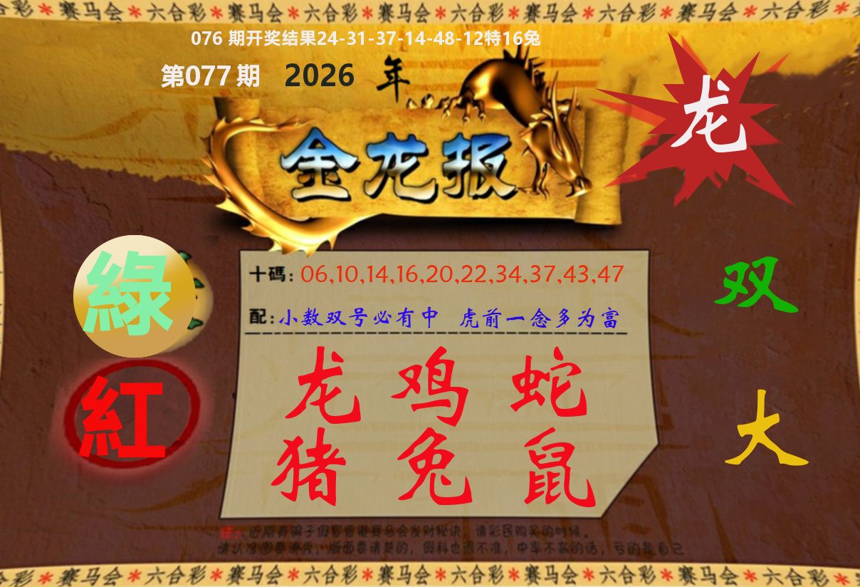 金龙报 第77期