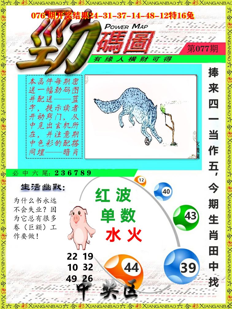 劲码图 第77期