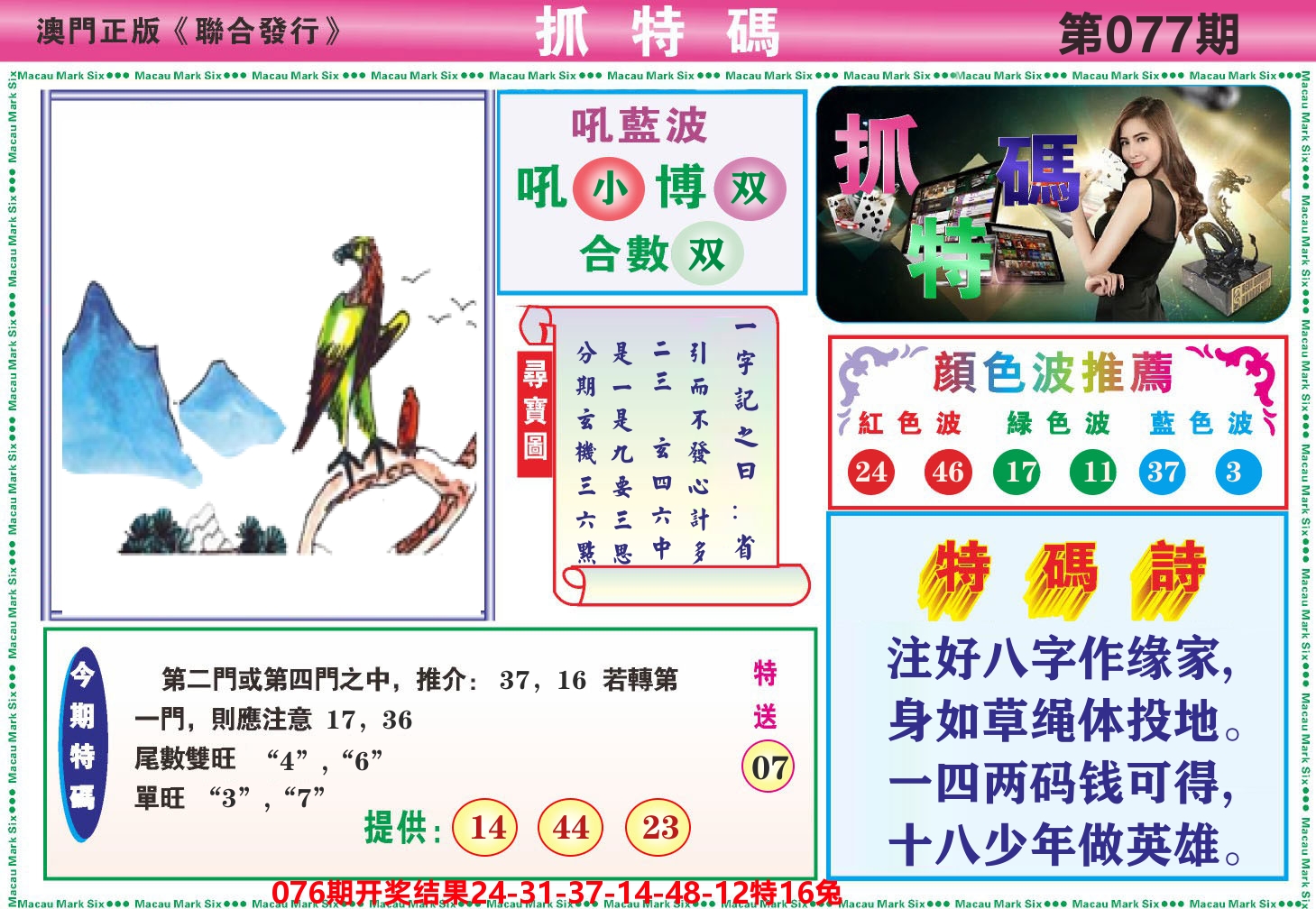 澳门抓特码A 第77期