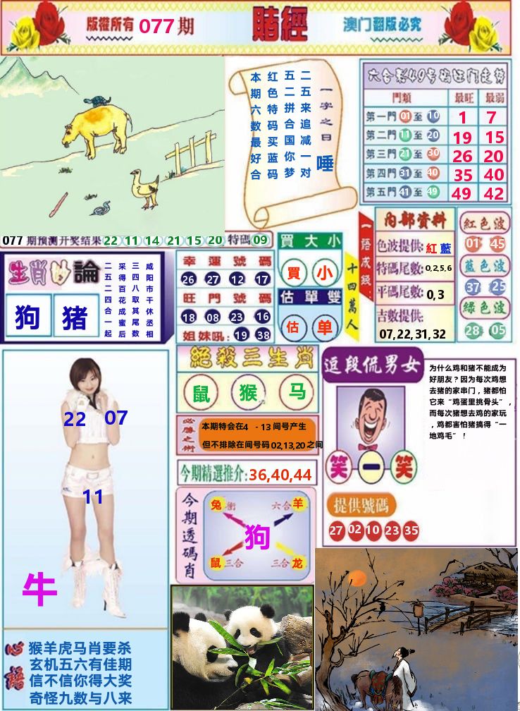 澳门赌经 第77期