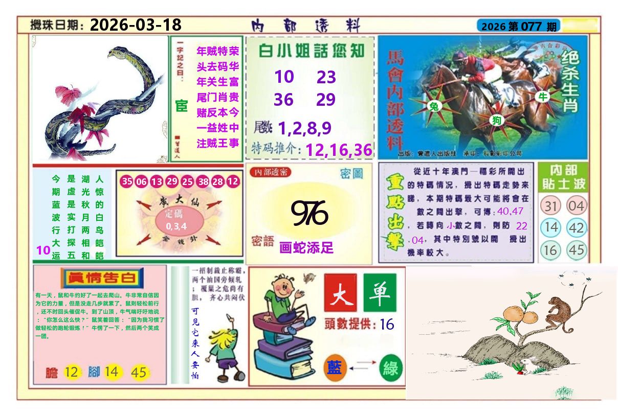 澳门内部透料A 第77期