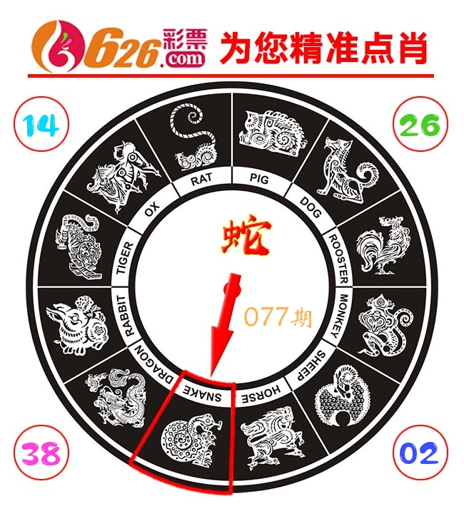 精准点肖 第77期