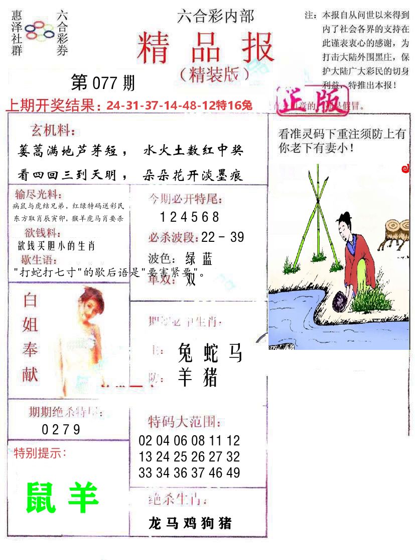 精品报 第77期