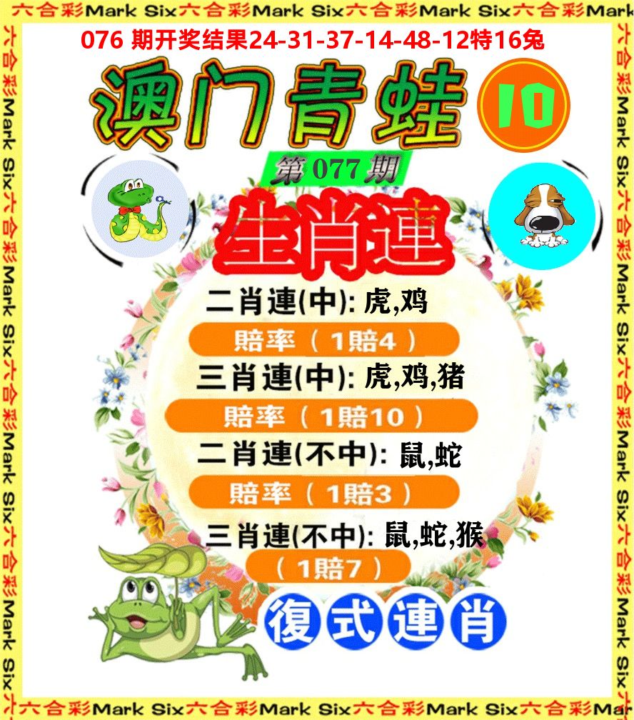 青蛙系列10 第77期