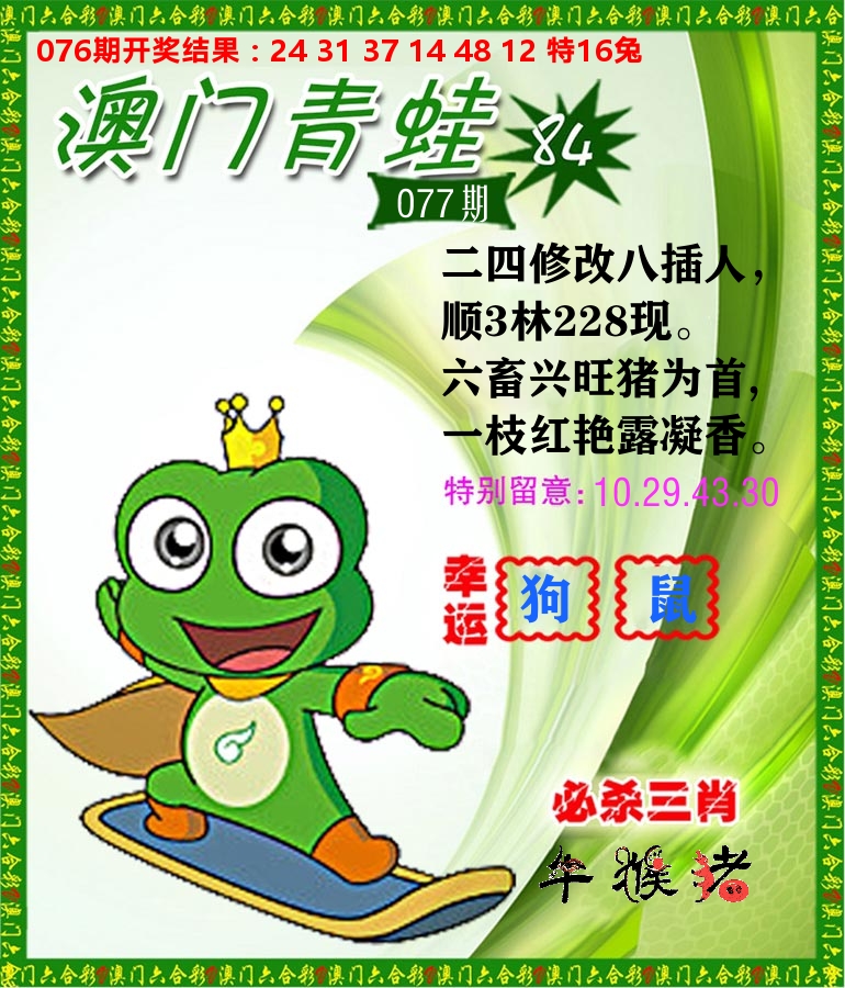 青蛙系列84 第77期