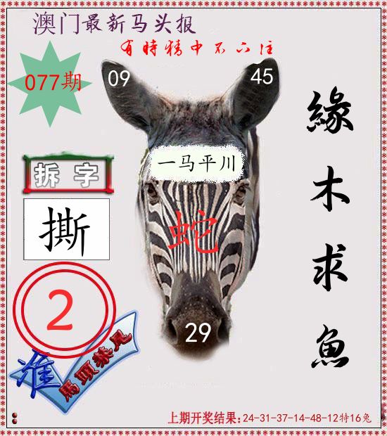 马头报 第77期