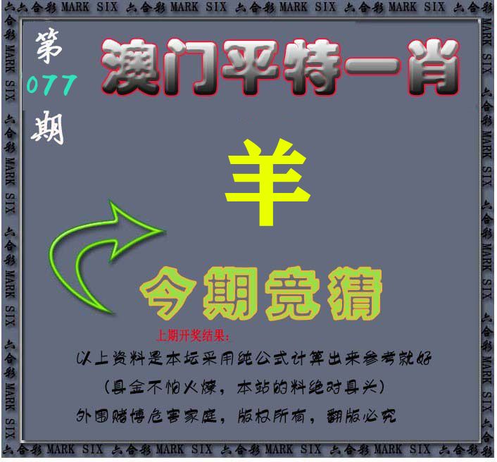 今期竞猜 第77期