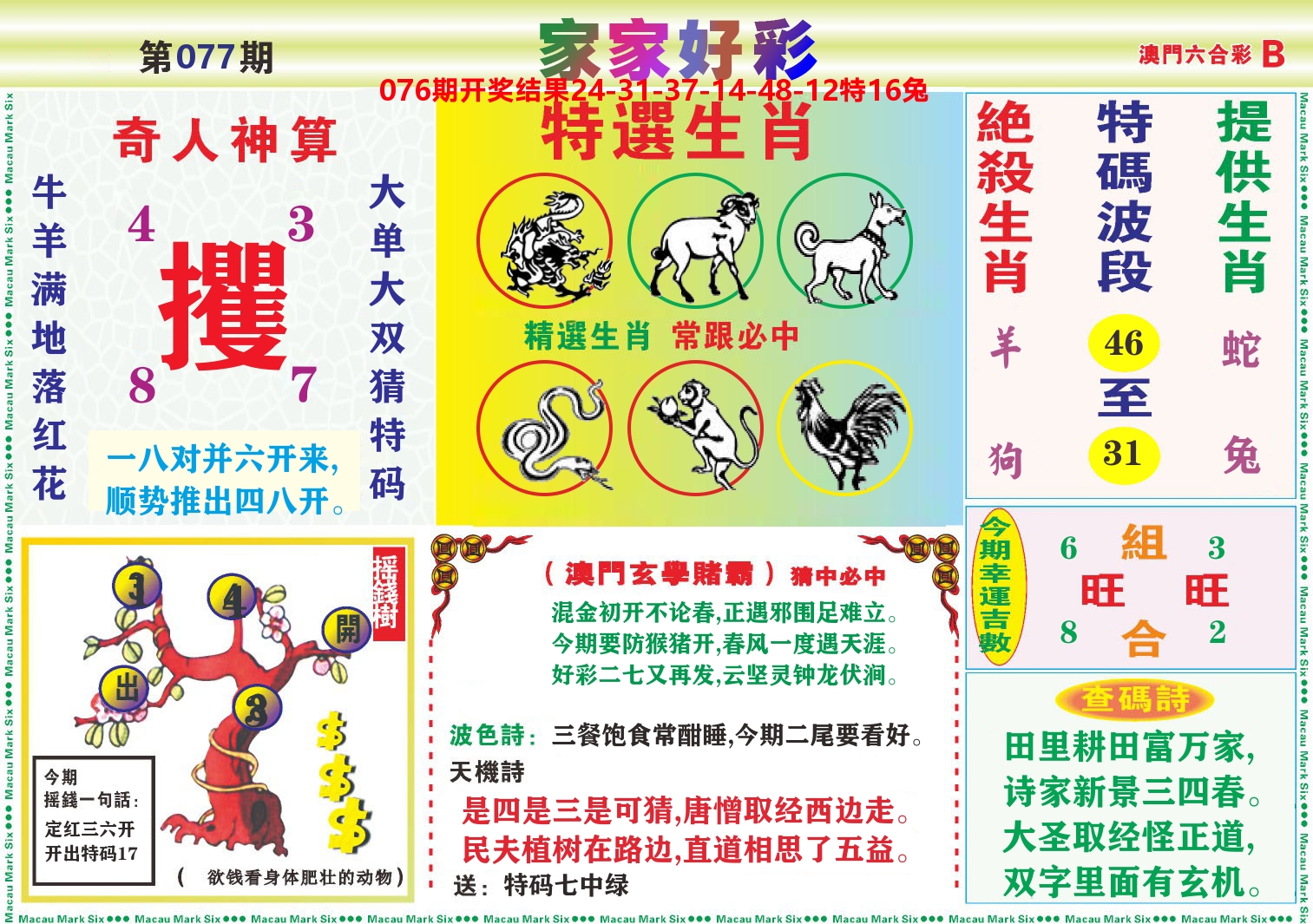 家家好彩B 第77期