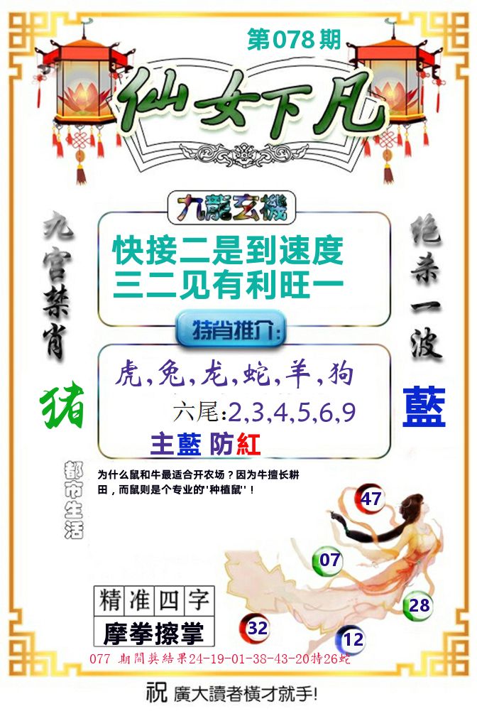 仙女下凡 第78期
