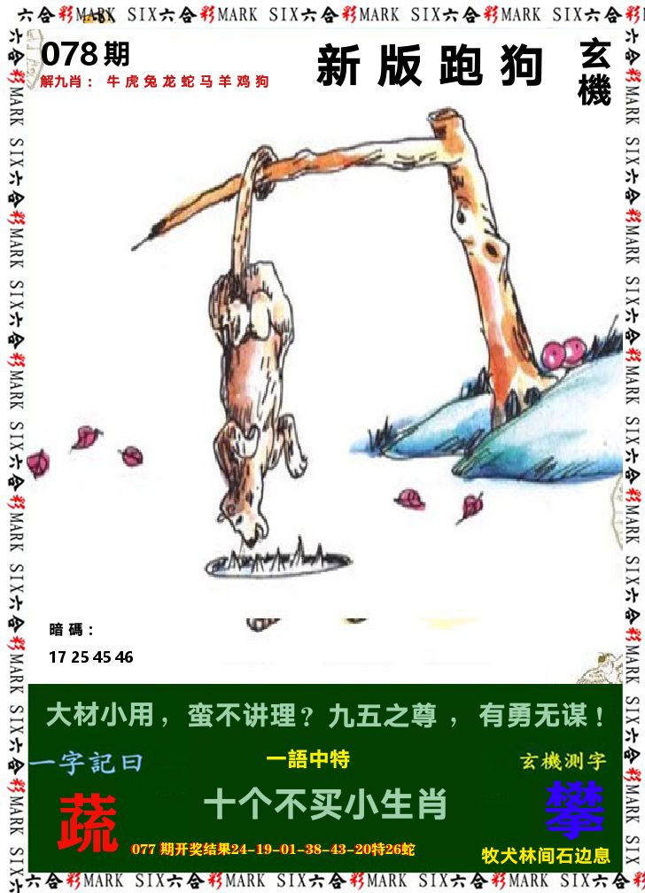 悟入其图 第78期