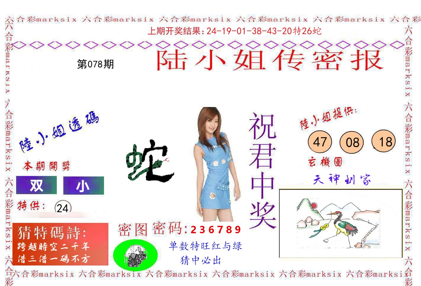 陆小姐密报 第78期