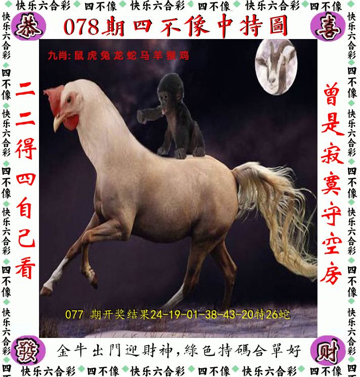 四不像 第78期
