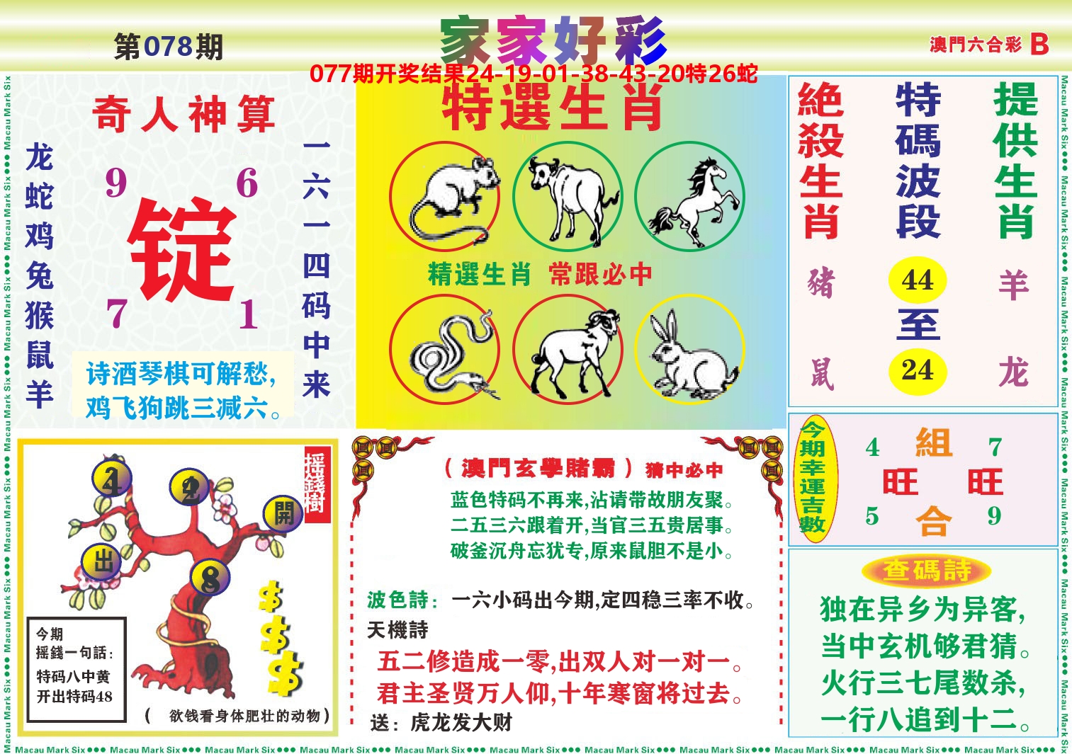 家家好彩B 第78期