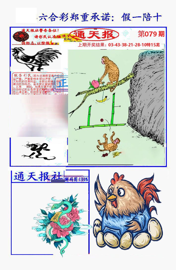 通天报 第79期