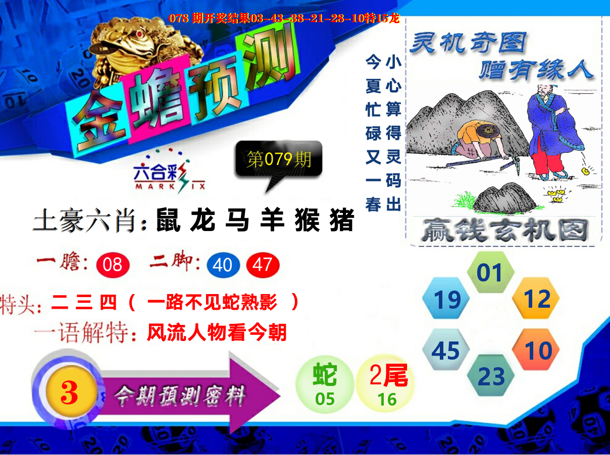 金蟾预测 第79期