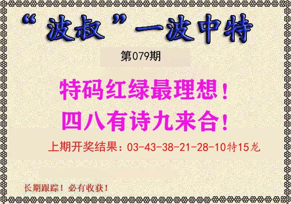 波叔中特 第79期