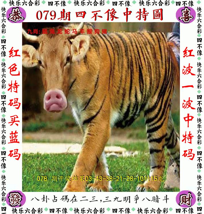 四不像 第79期