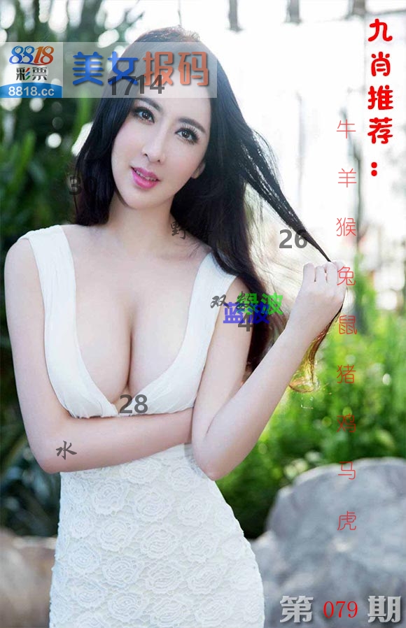 美女报码 第79期