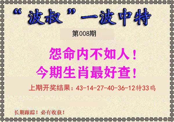 波叔中特 第8期
