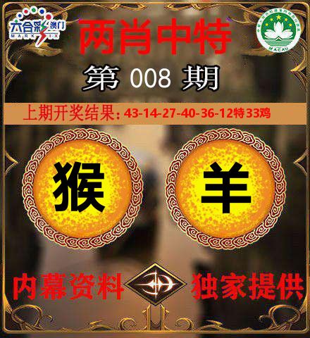 两肖中特 第8期