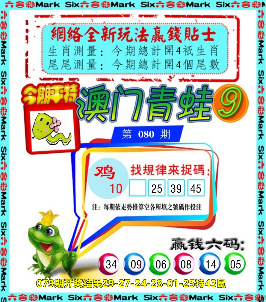 青蛙系列9 第80期