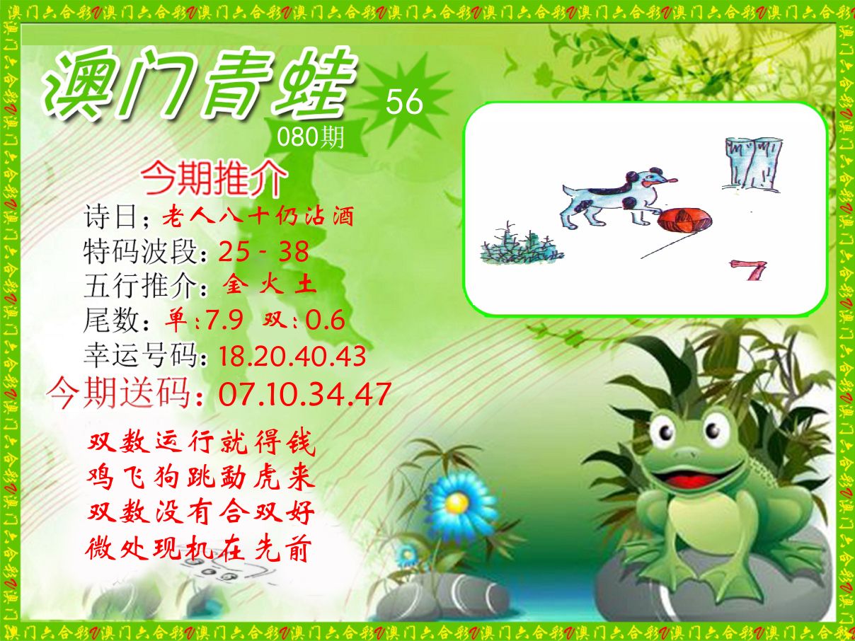青蛙系列56 第80期
