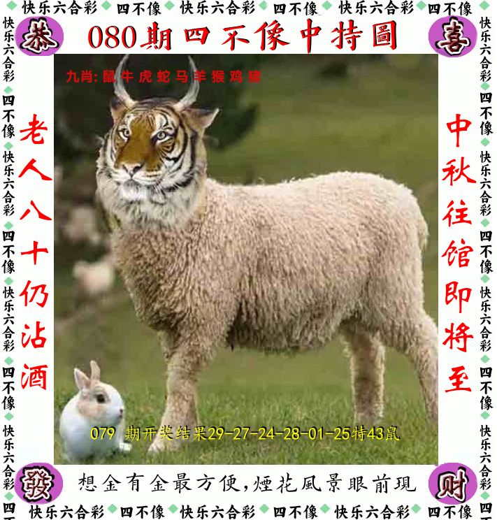 四不像 第80期