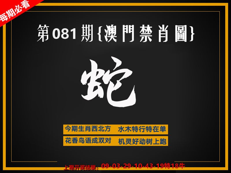 茶湾港料《彩》 第81期