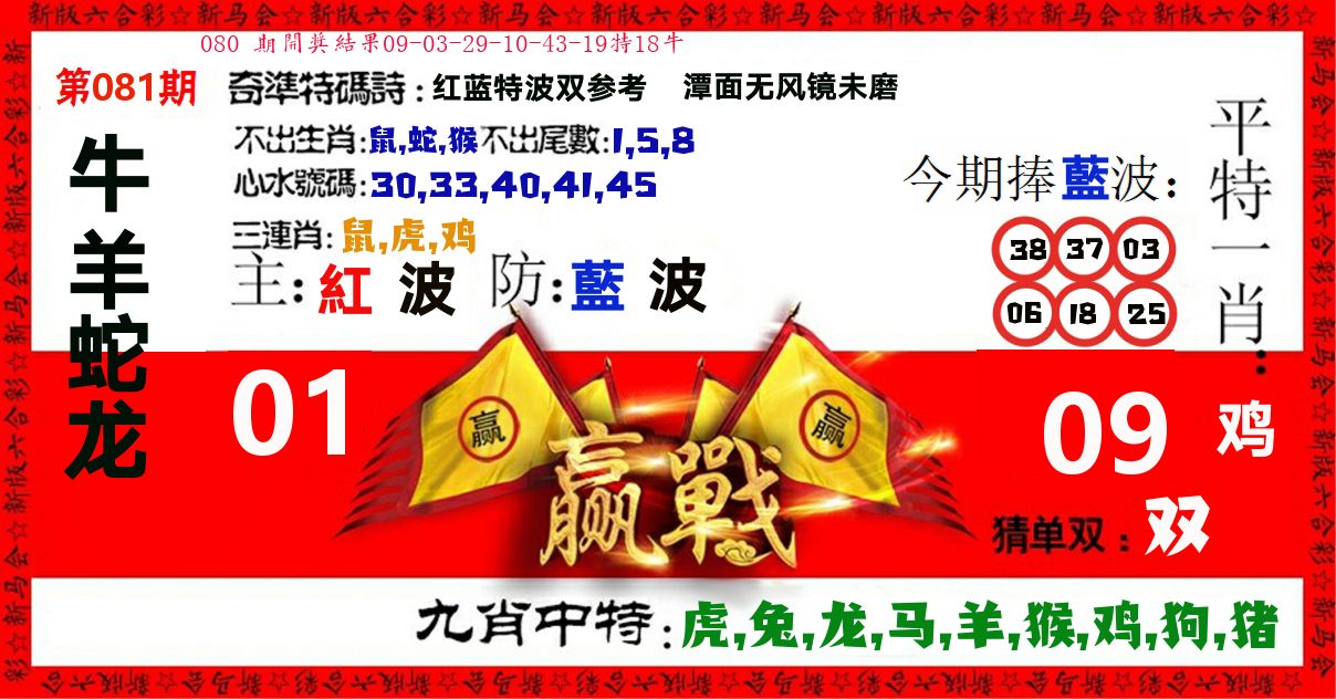 赢站 第81期