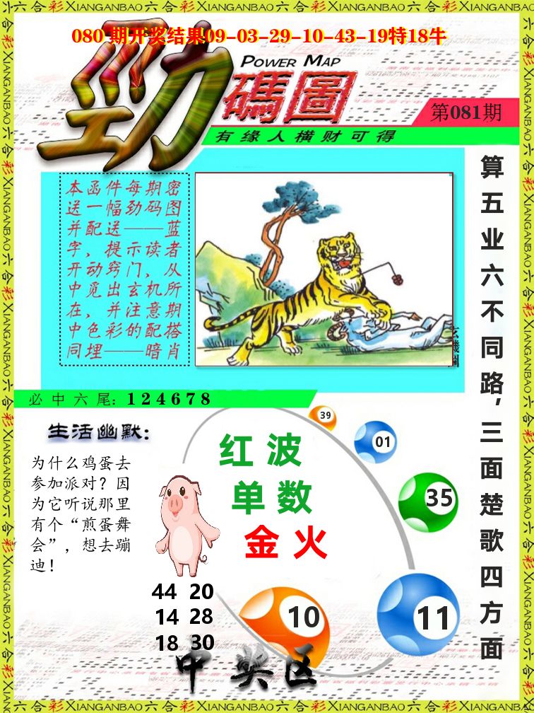 劲码图 第81期