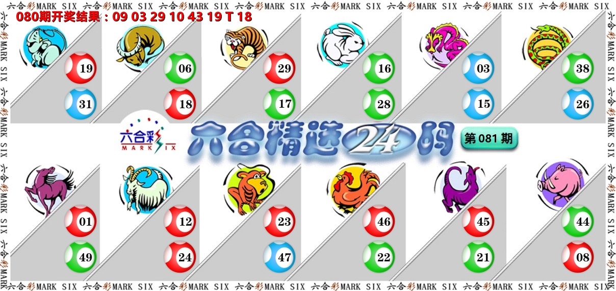 六合精选24码 第81期