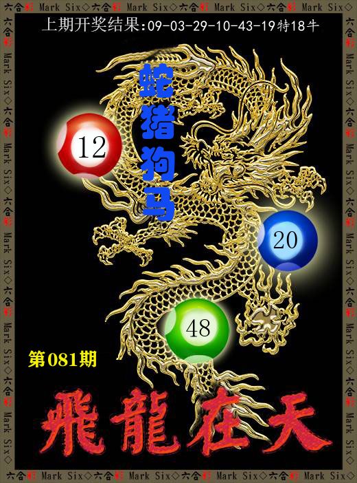 飞龙在天 第81期