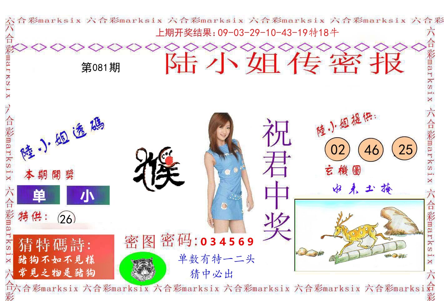 陆小姐密报 第81期