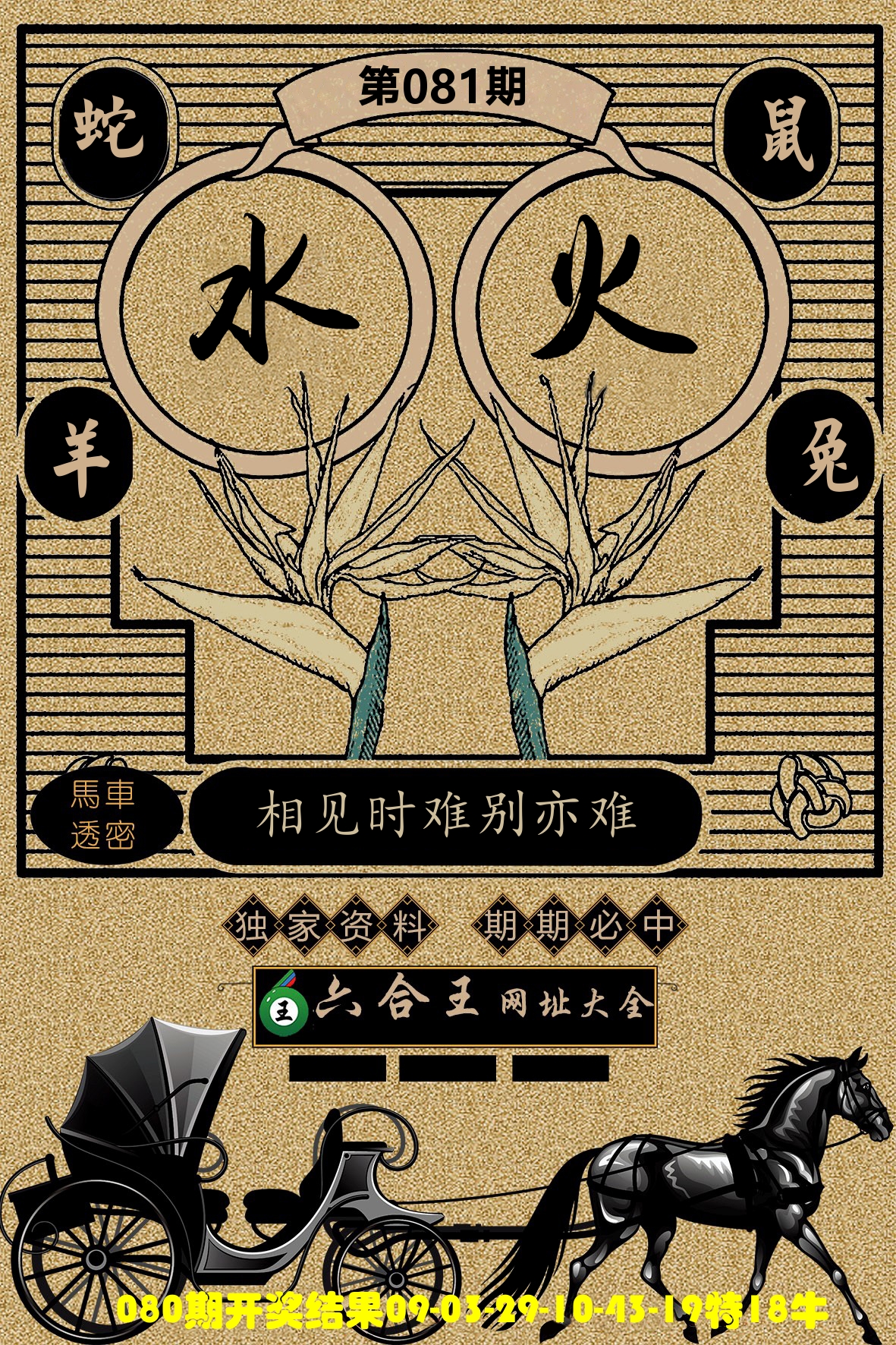六合王马车透密 第81期
