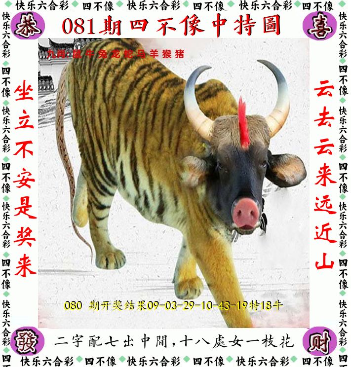 四不像 第81期