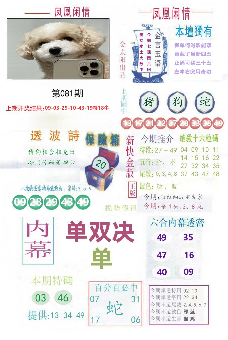 凤凰闲情 第81期