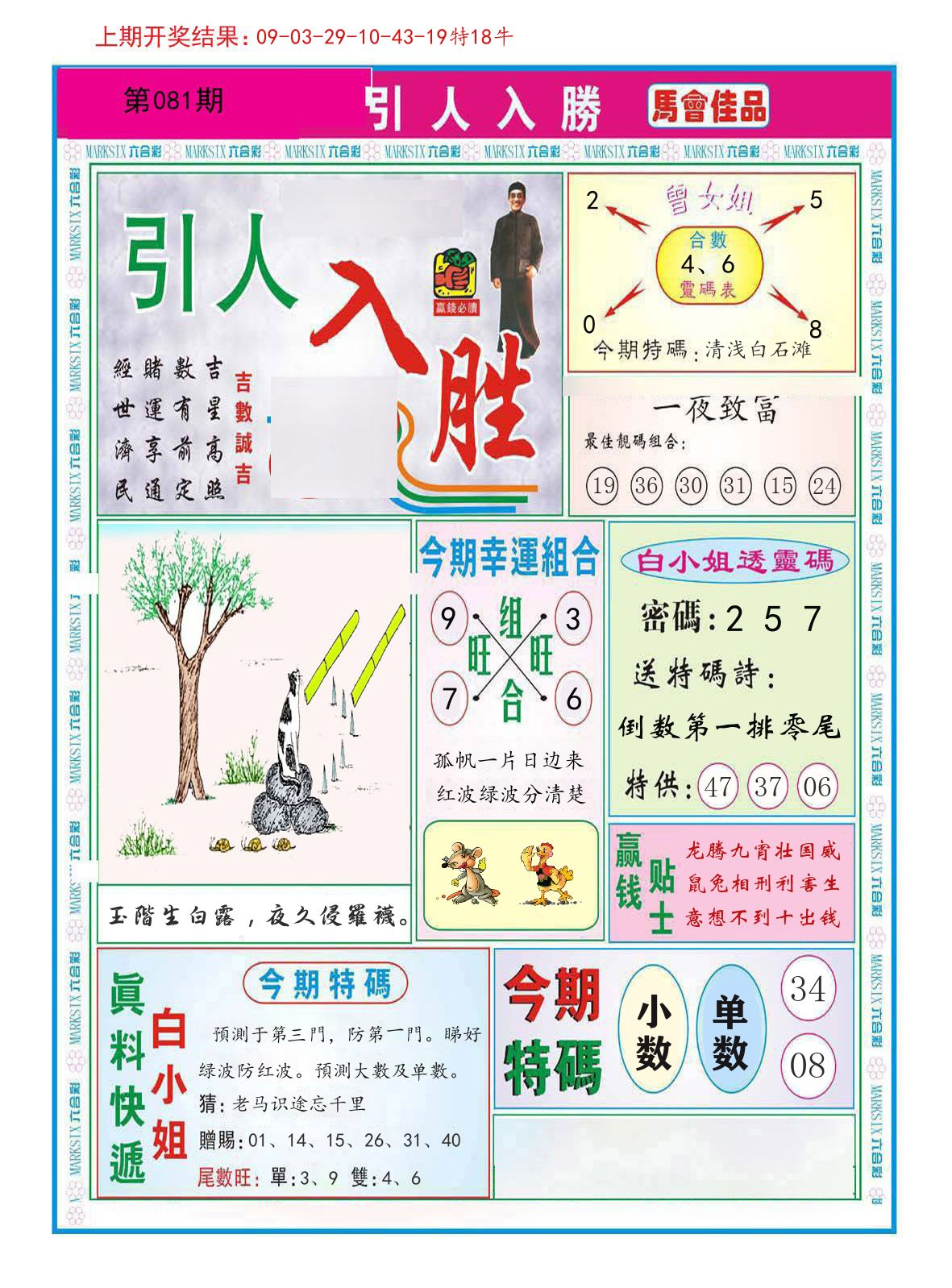 引人入胜 第81期