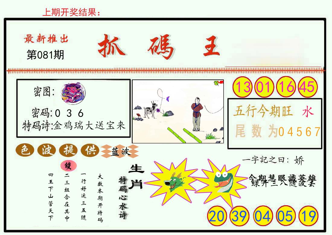 最新抓码王 第81期
