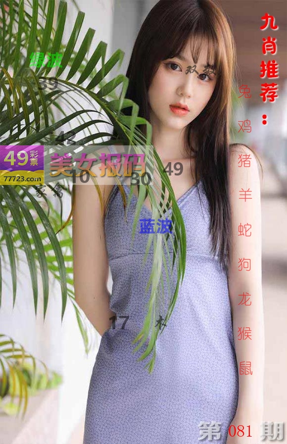 美女报码 第81期