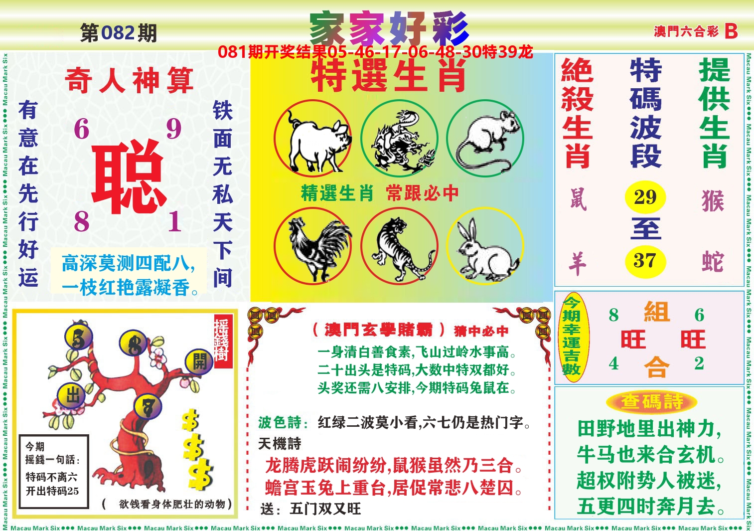 家家好彩B 第82期