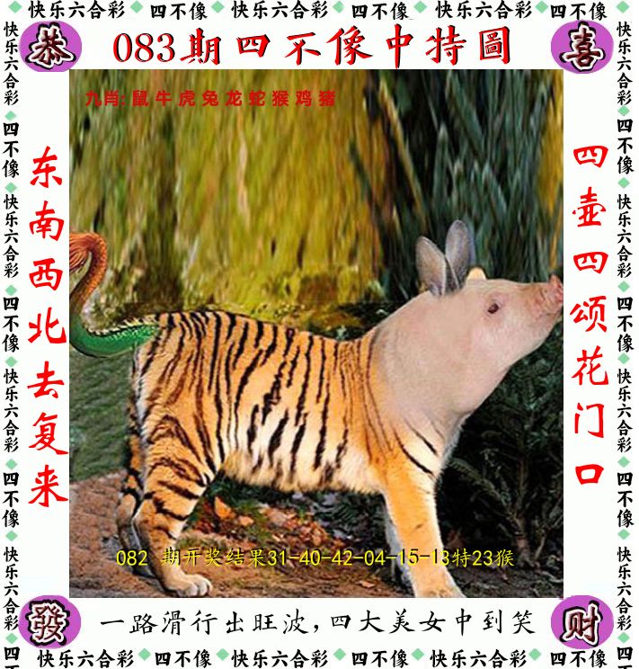 四不像 第83期