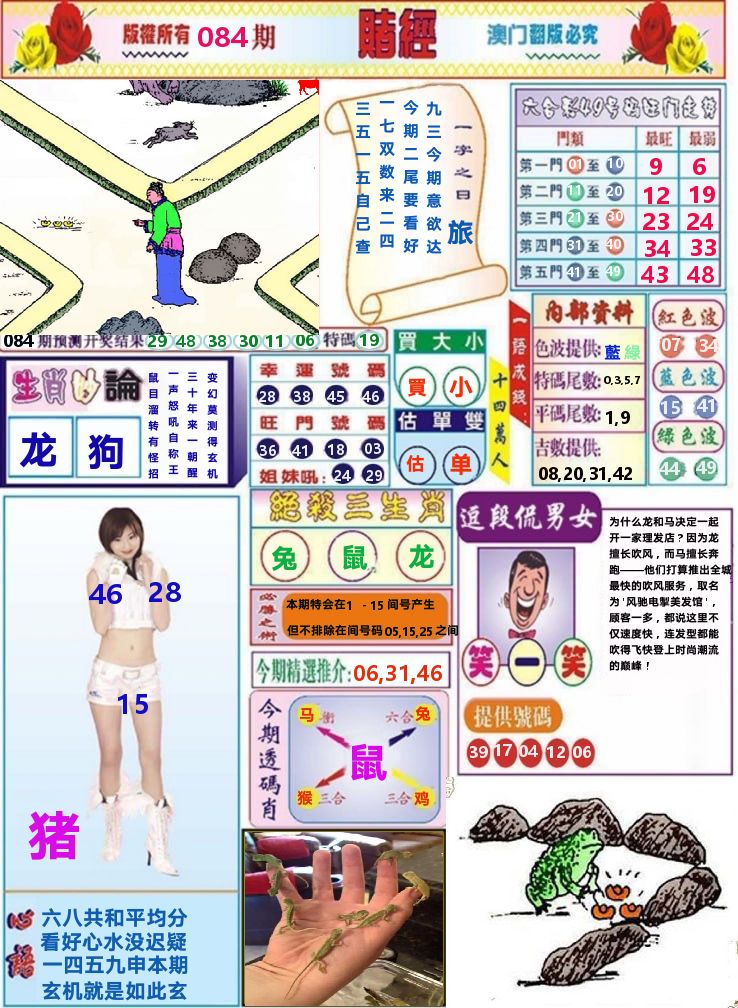 澳门赌经 第84期
