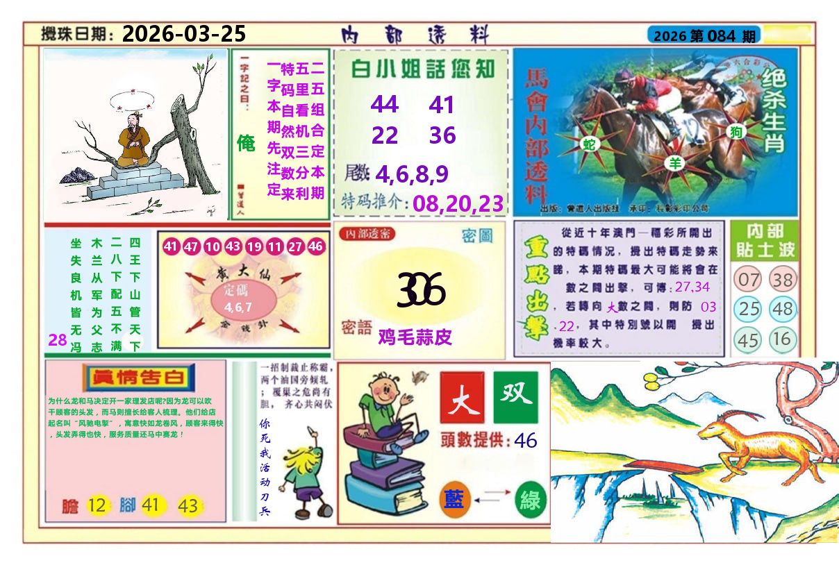 澳门内部透料A 第84期