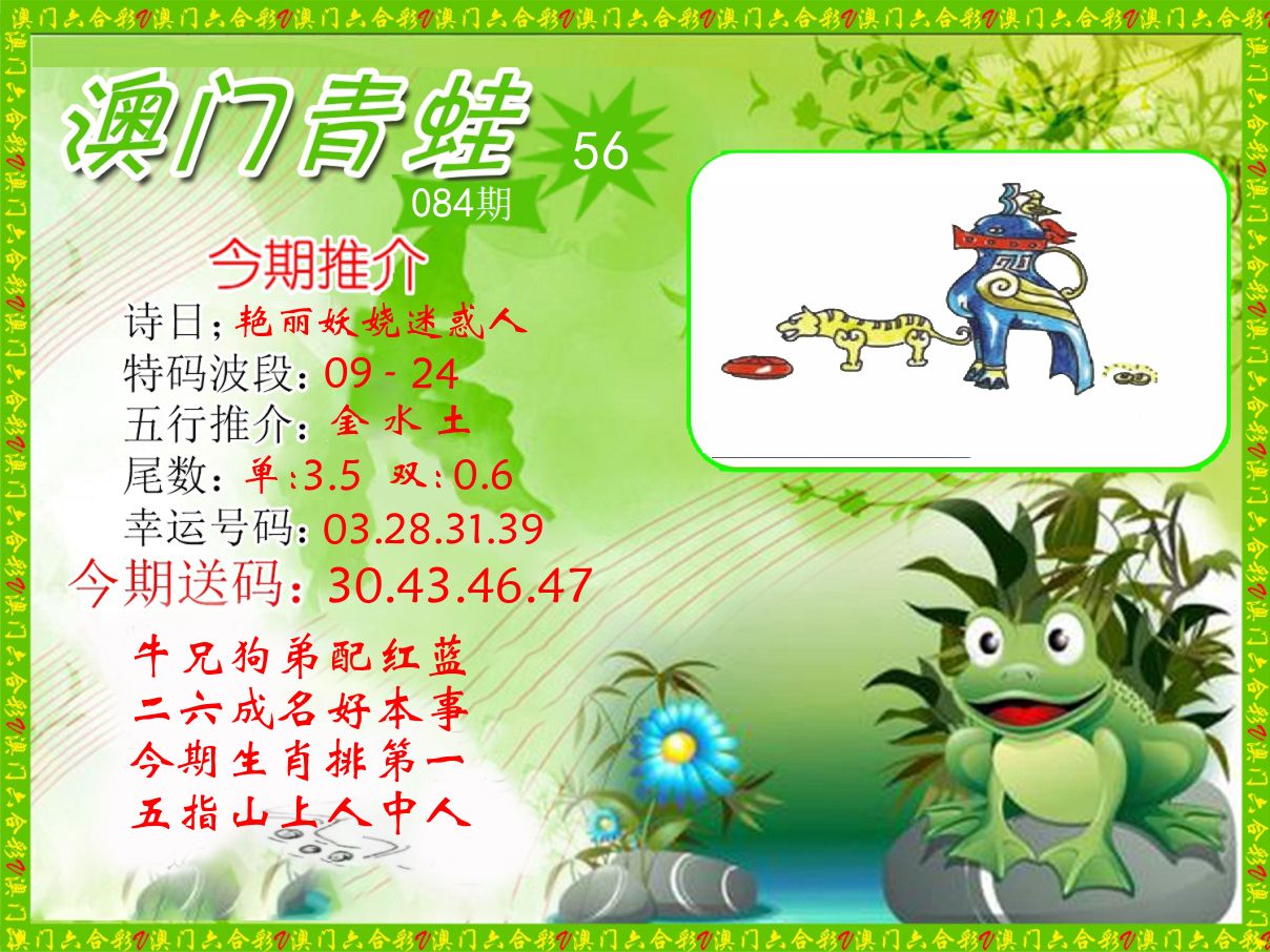 青蛙系列56 第84期