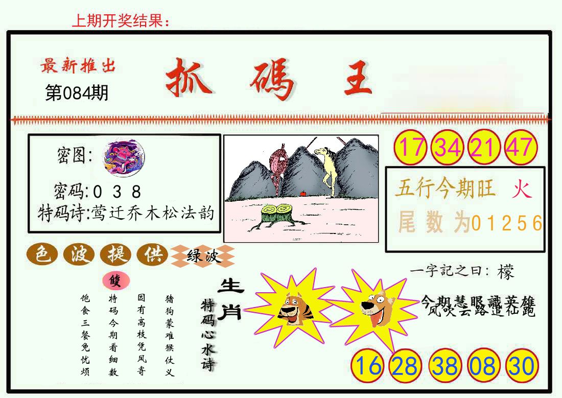 最新抓码王 第84期