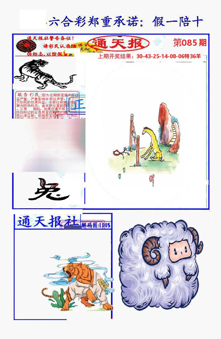 通天报 第85期